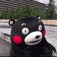 罗小飞