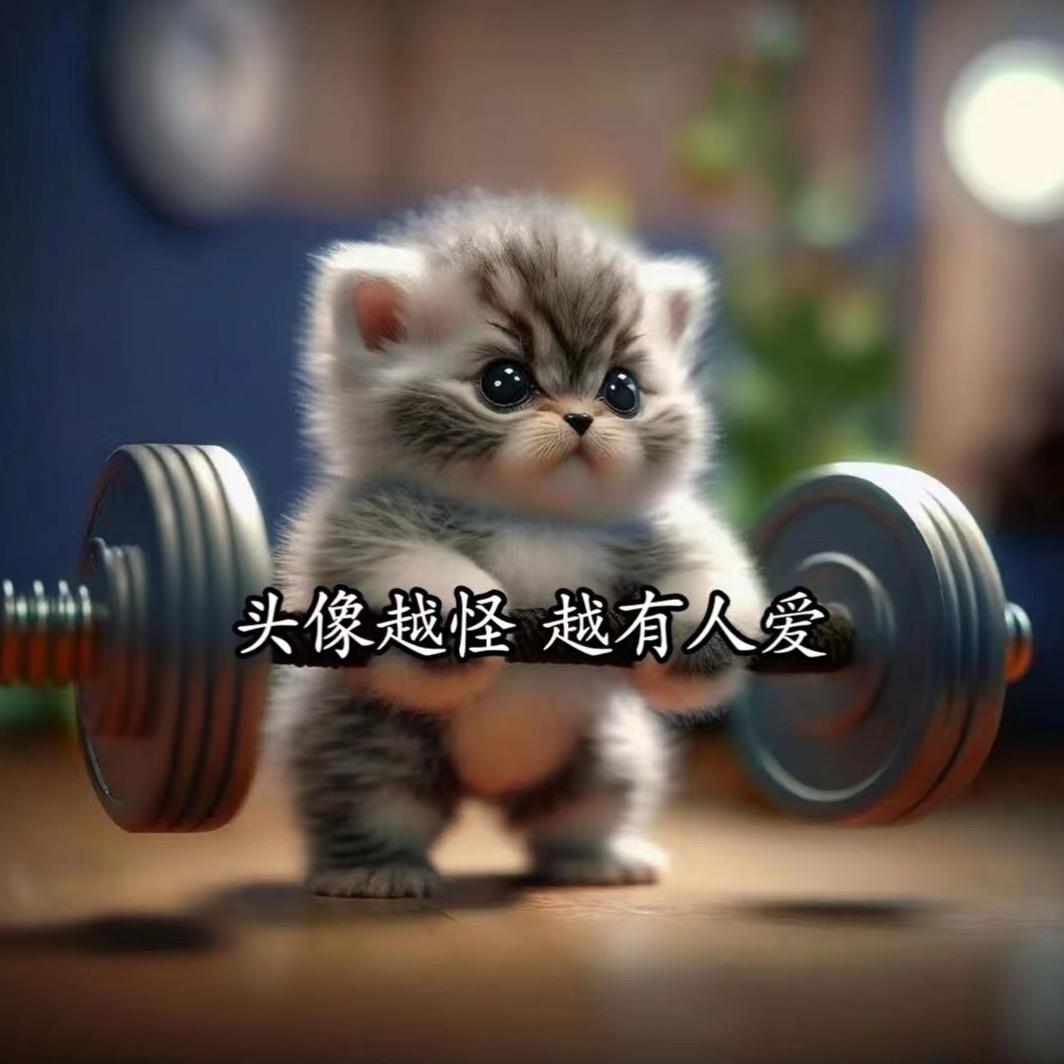 梧桐薄雾