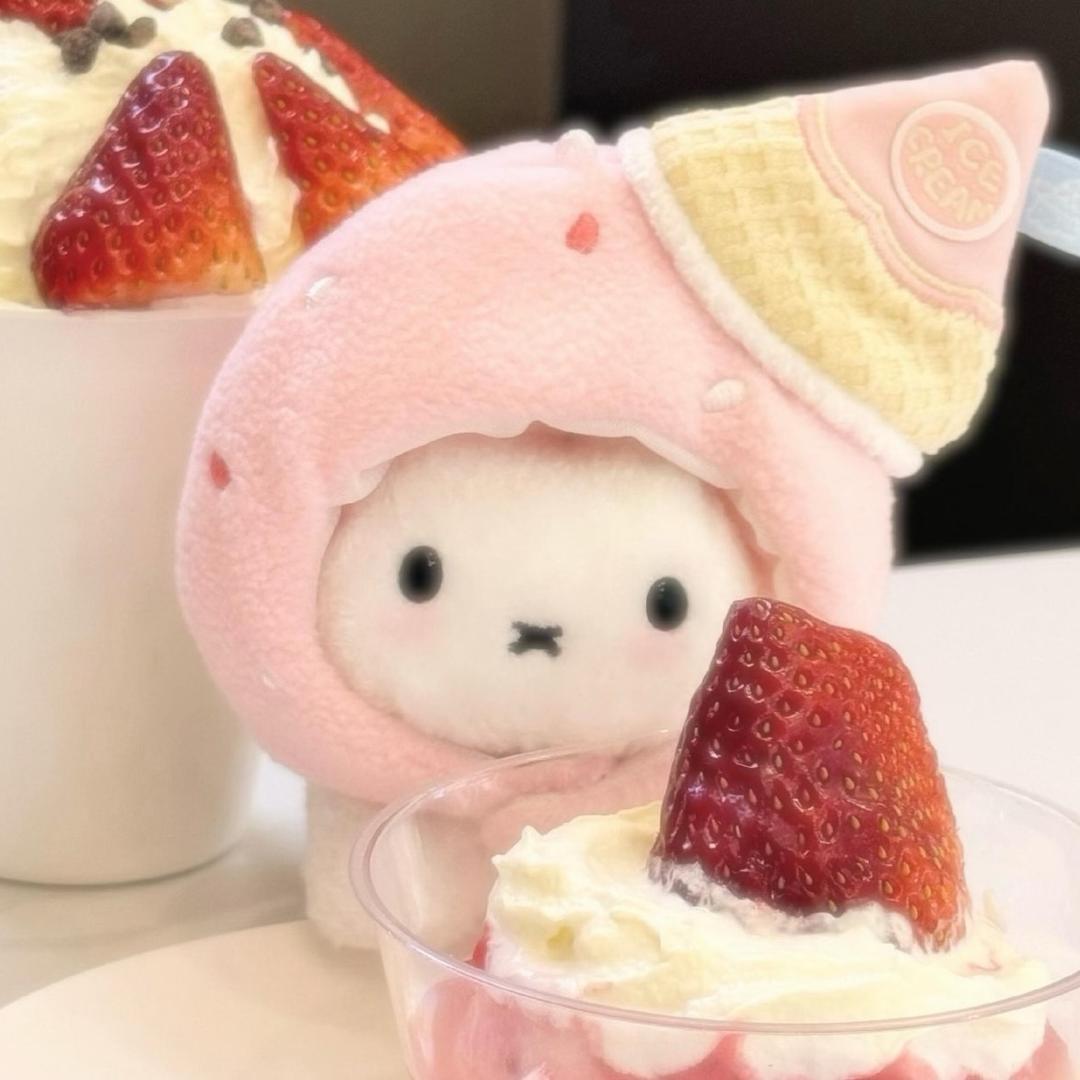 🌙芒芒露露💫