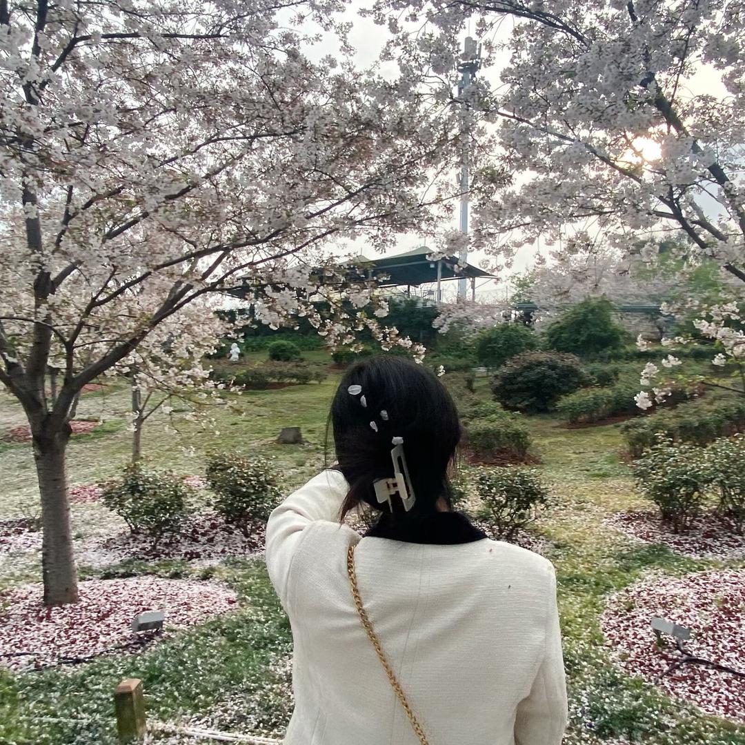 嘉禾澜府  范范