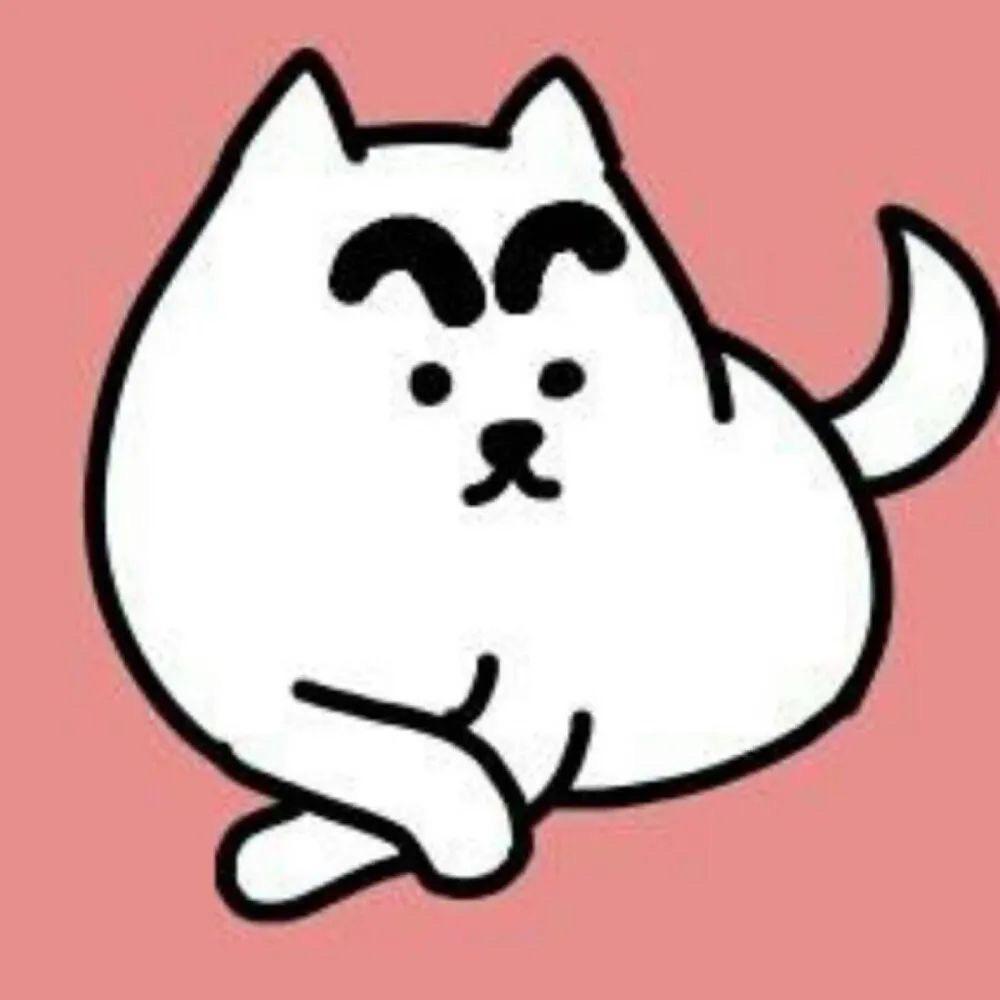 可儿