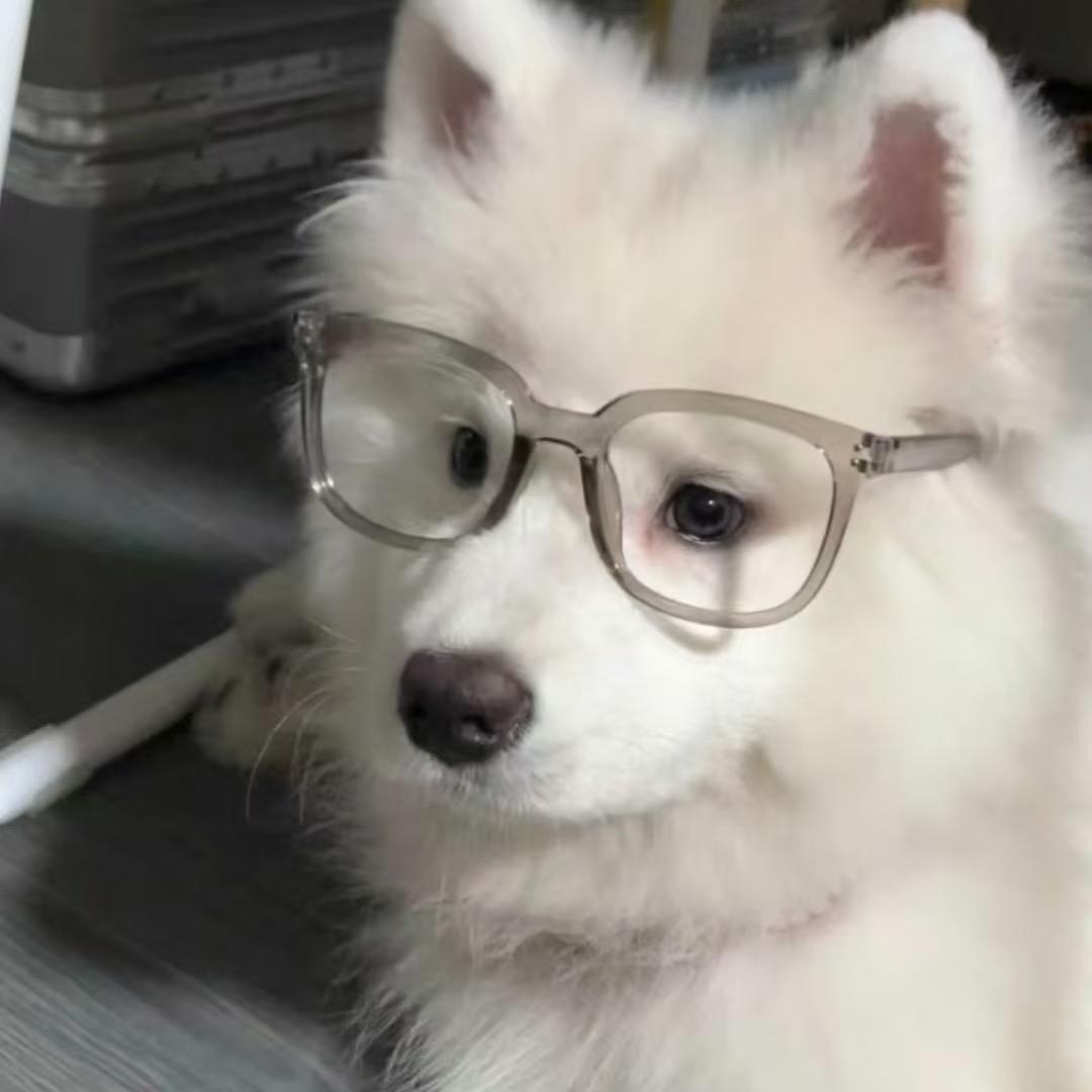 风满颜