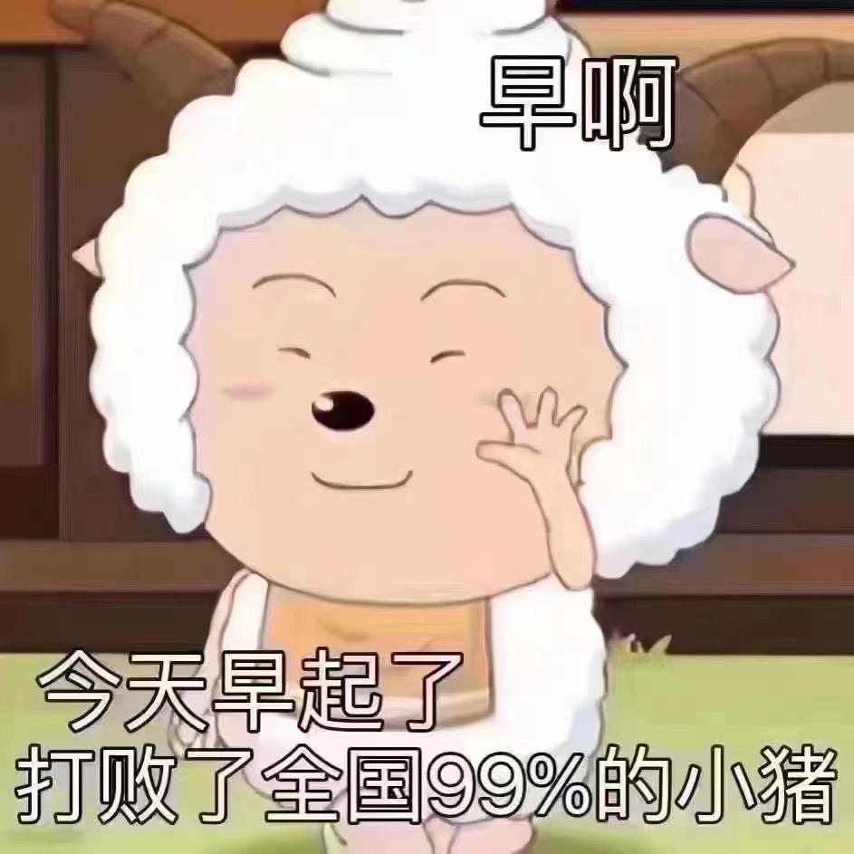 杰尼龟不是双面龟.