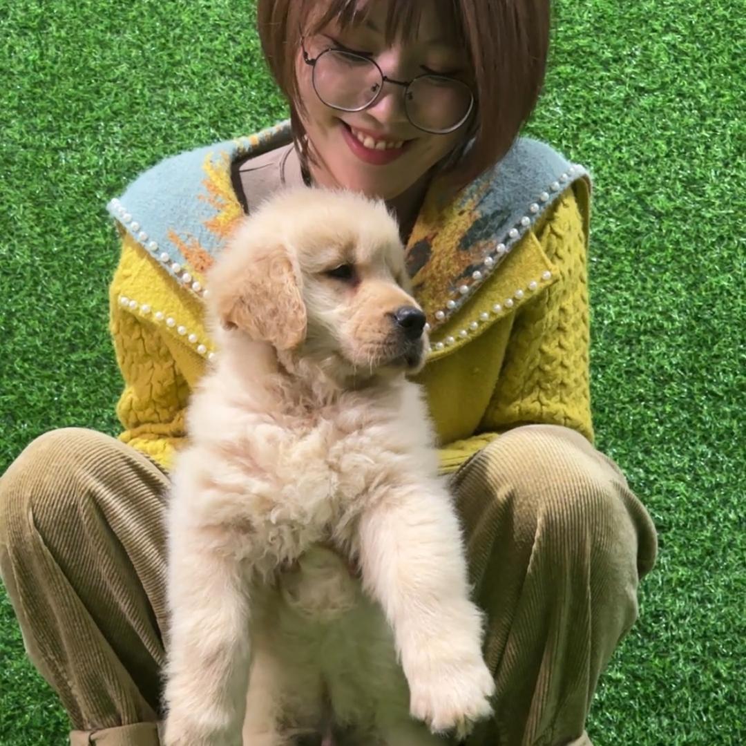 钱小样家的小狗狗