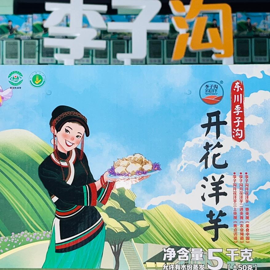 官方东川李子沟开花洋芋