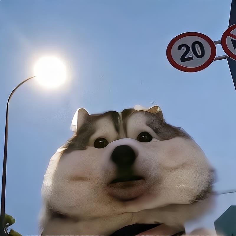 梓航✨