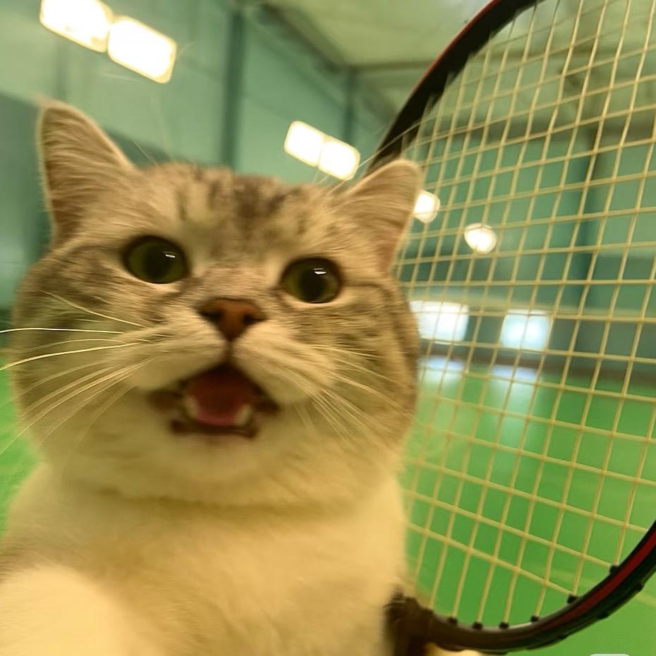 失业菜鸟学习打羽毛球