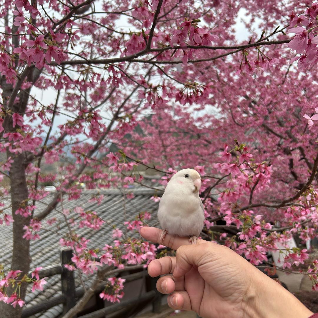 ℋღ᭄ 微醺🍸人生🎉