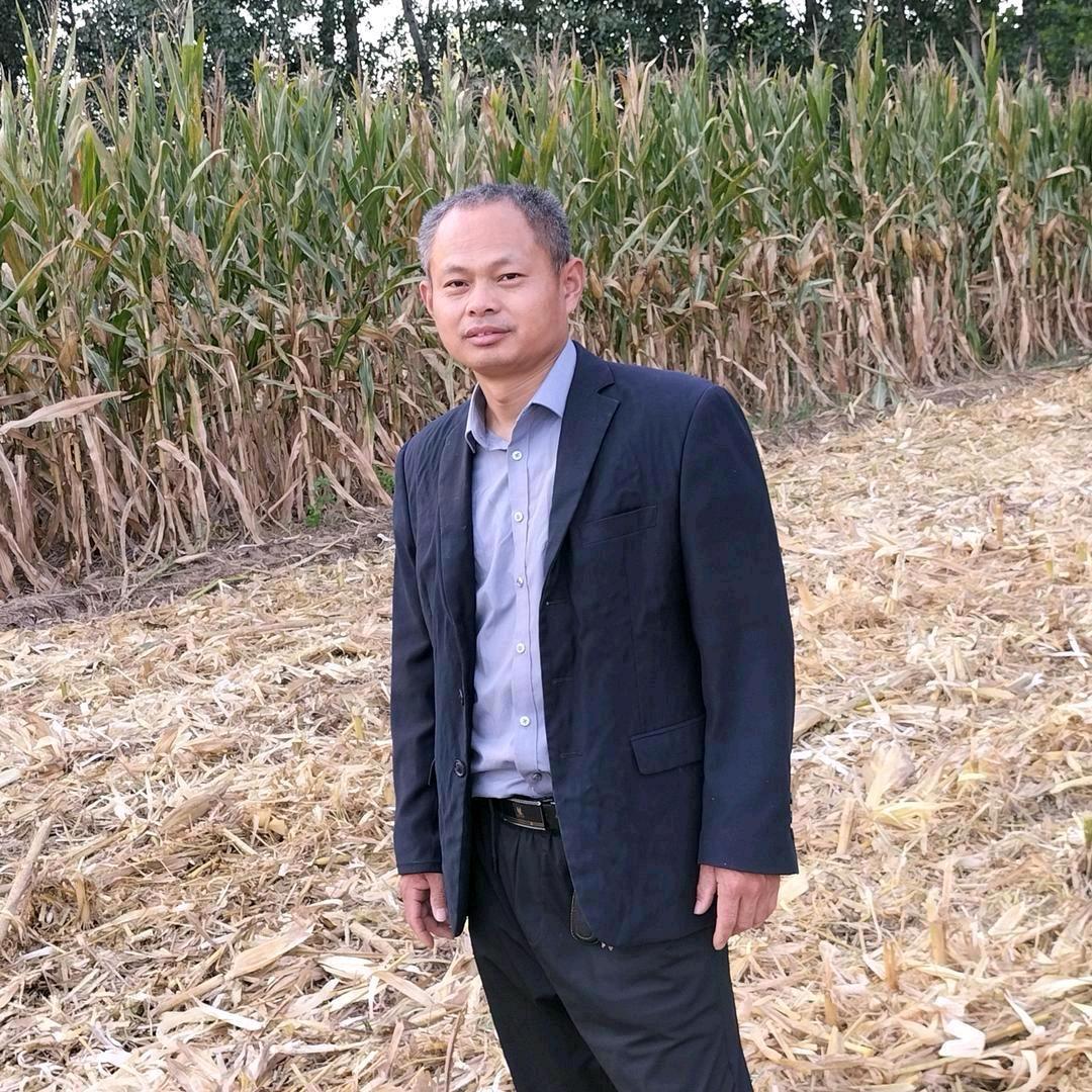 草根哥（早4点10分首播）