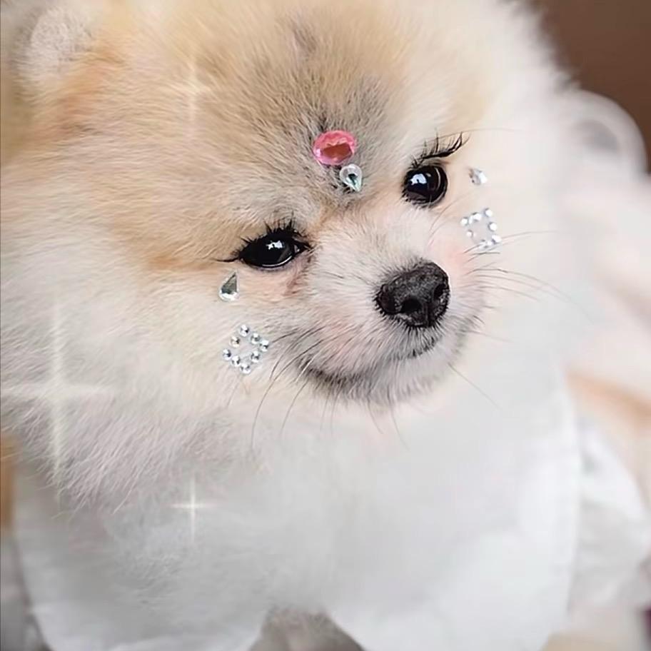 容易知足