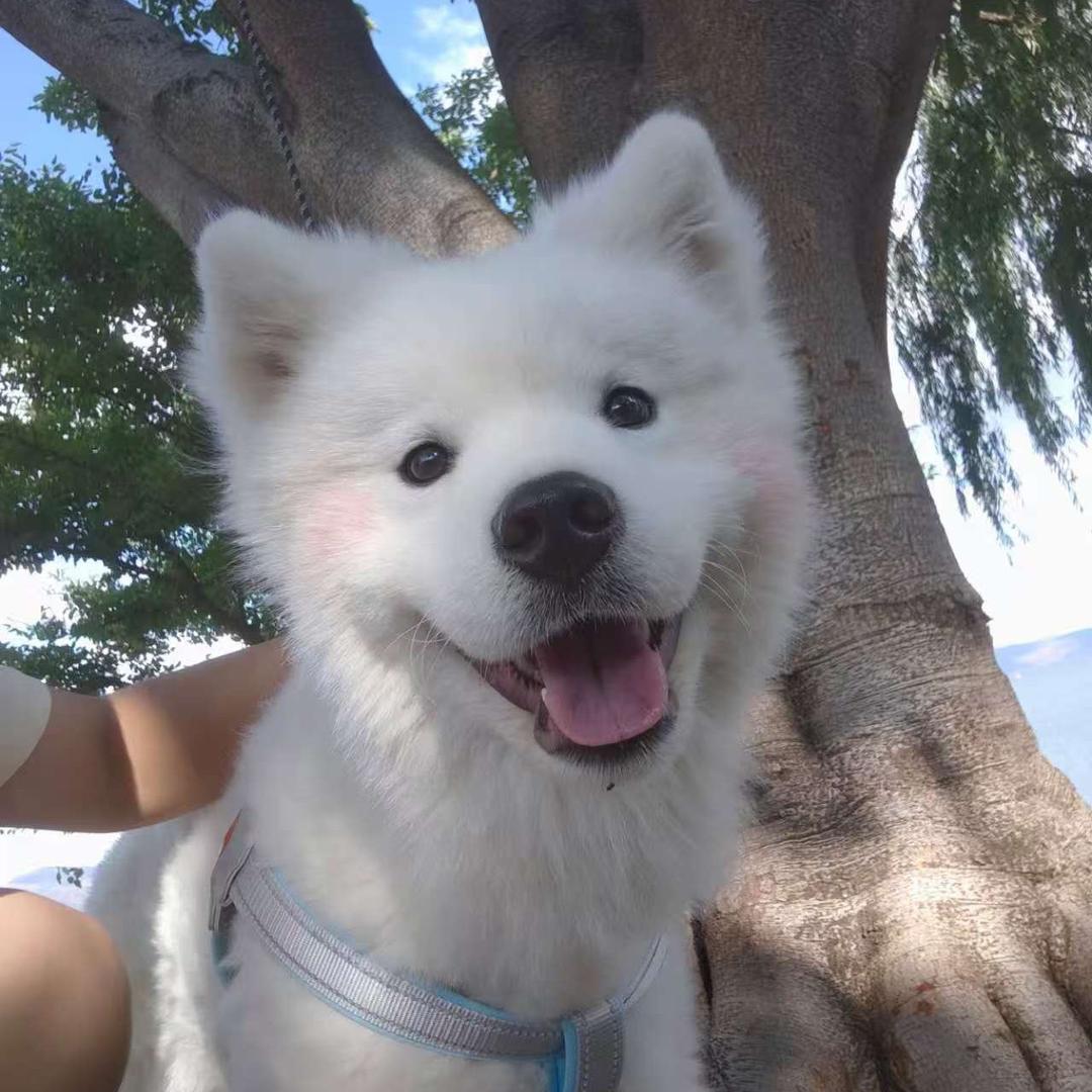 昆明海仑短视频拍摄磊