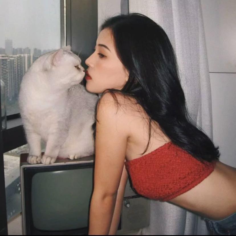 -梵宸