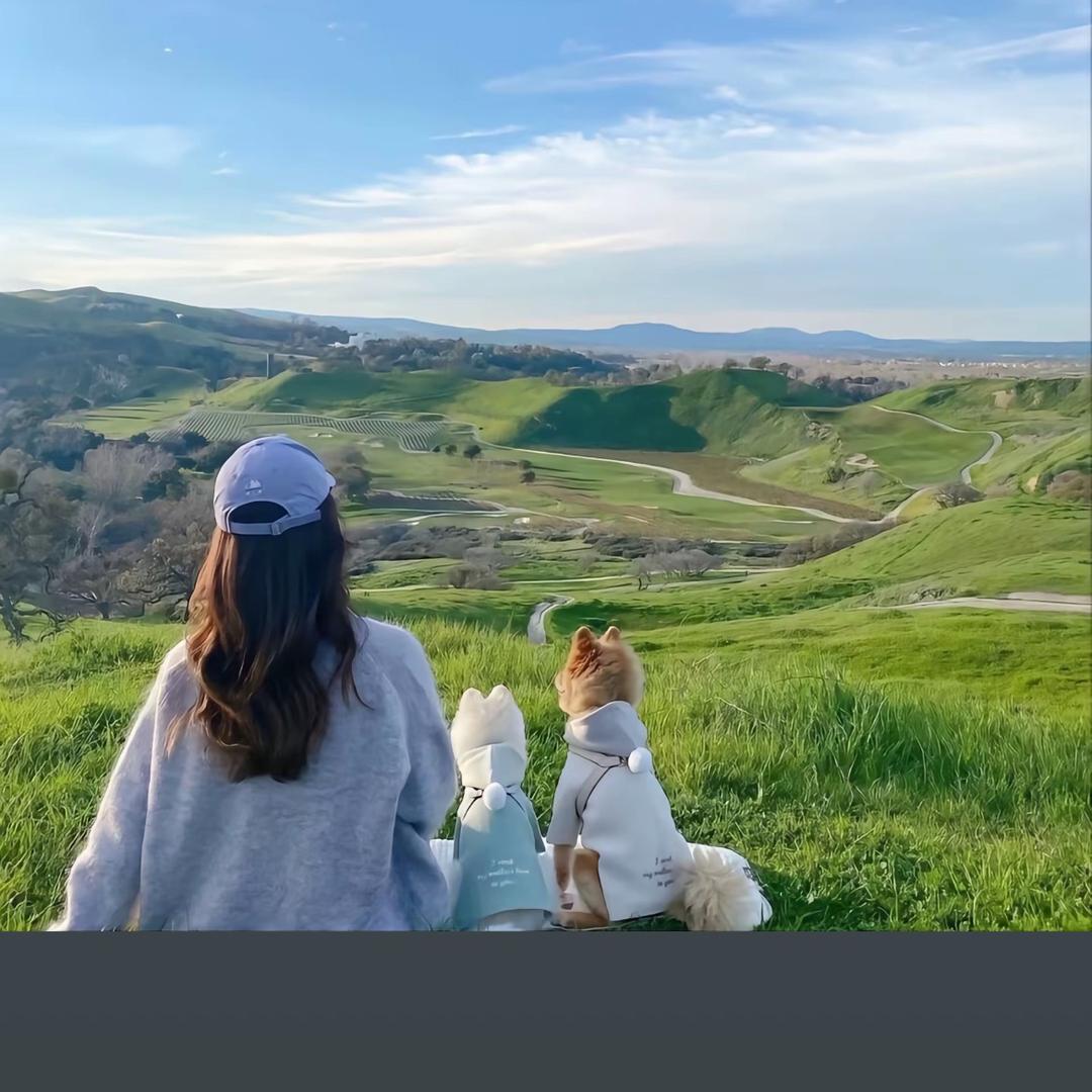 爱码字的池鱼（勇闯男频）