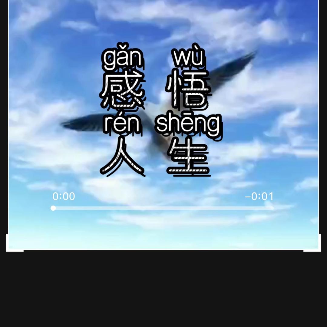 淡定哥