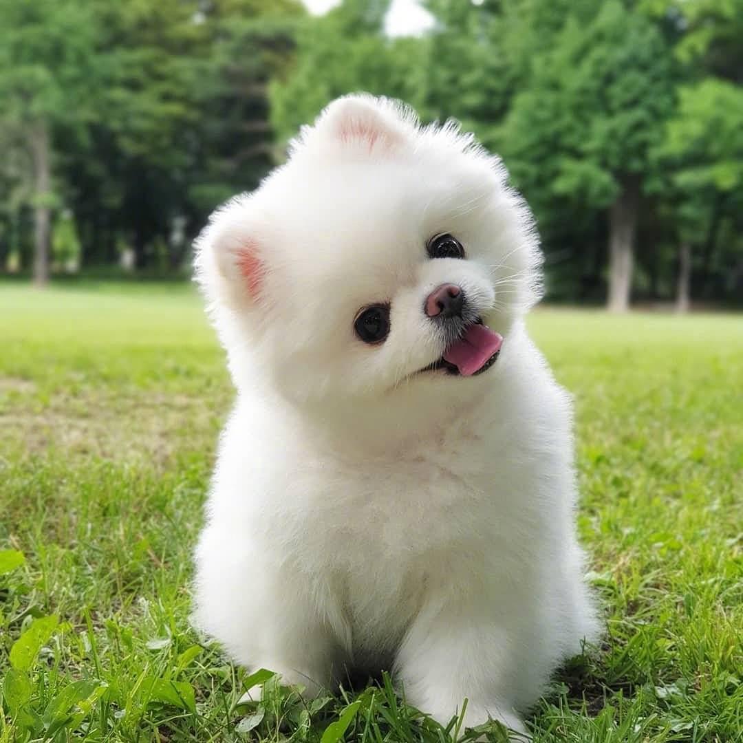 晓娇甄选阁