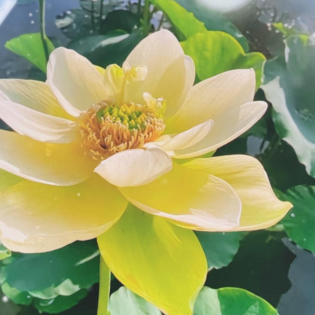 砥砺前行6