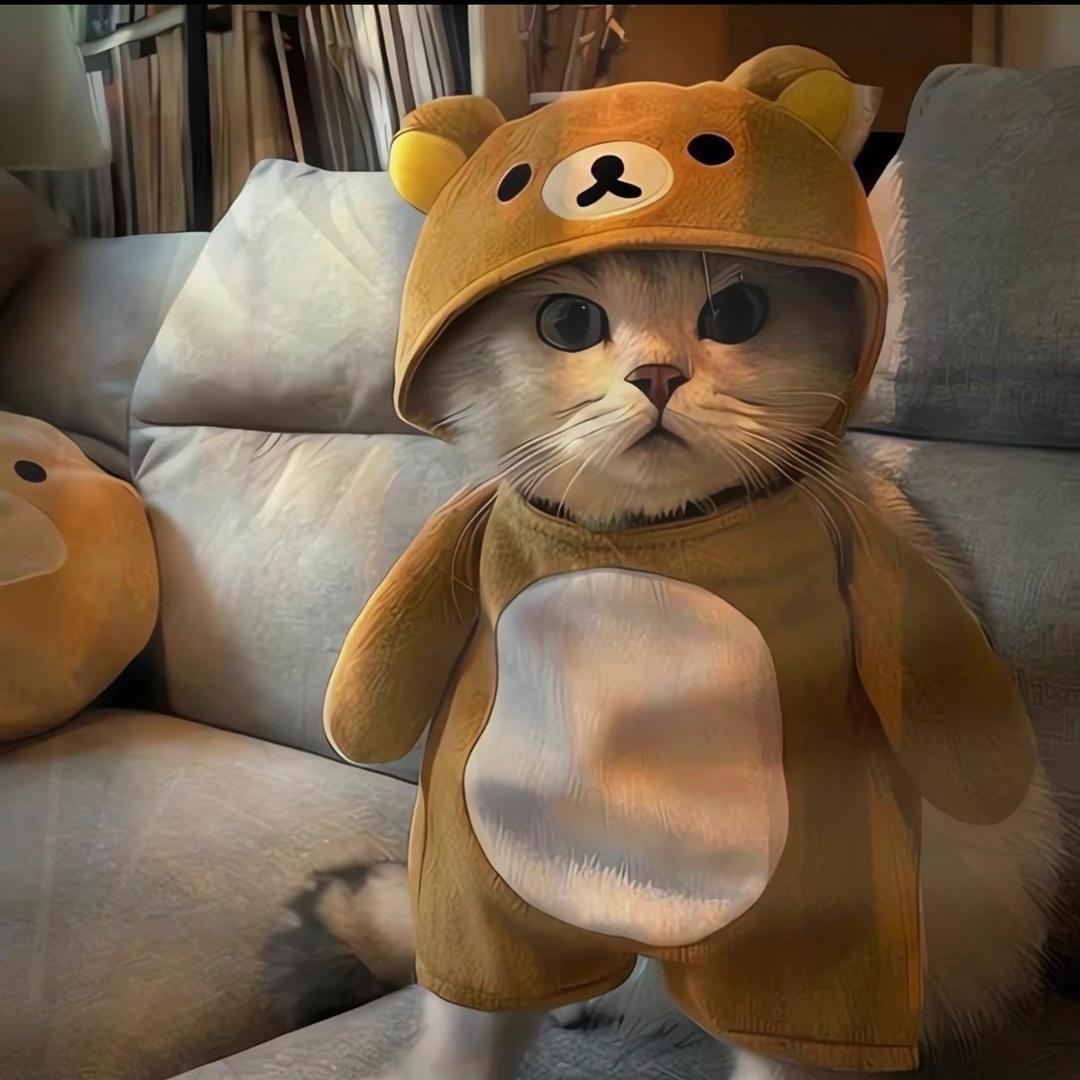 阿猫女装