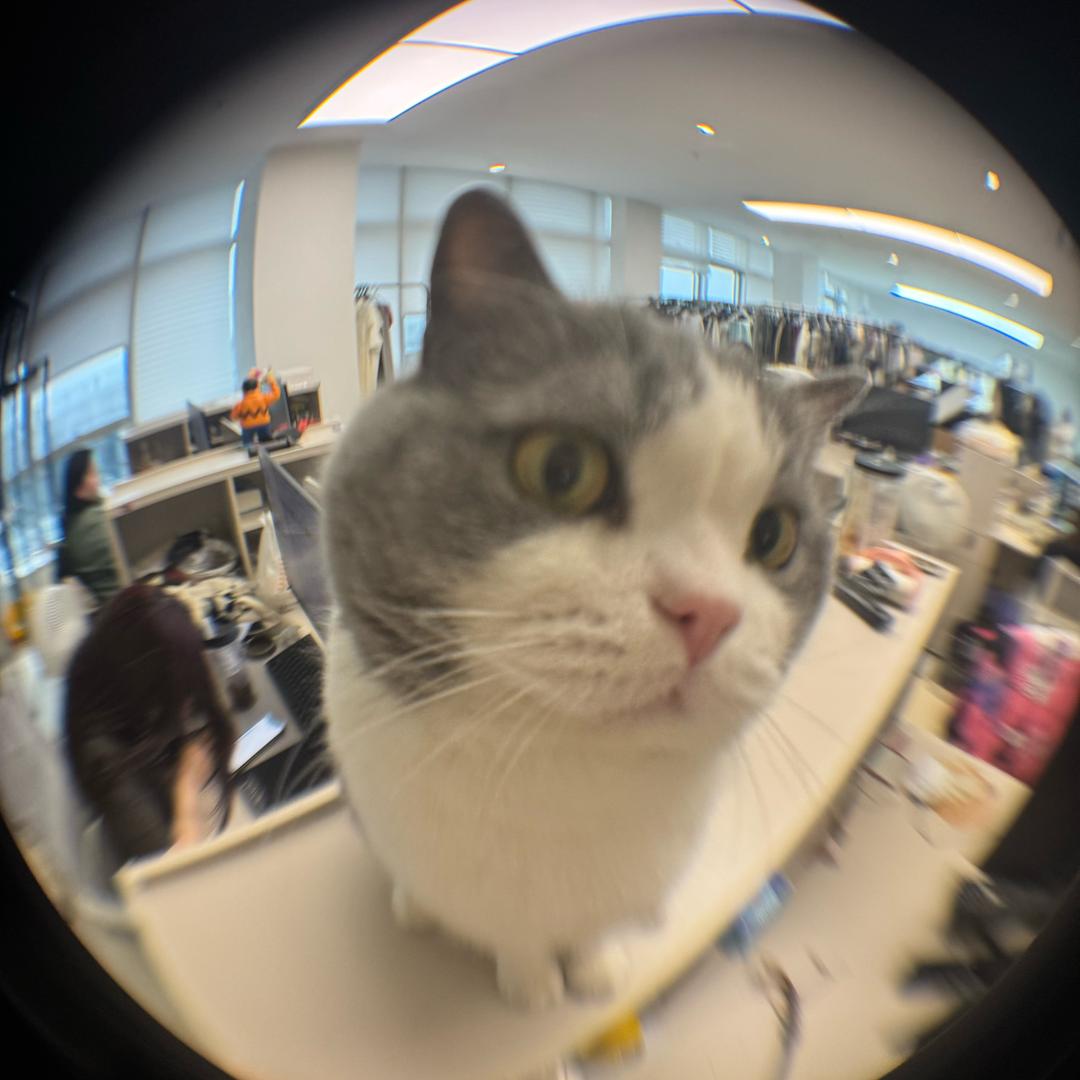 生蚝仙子