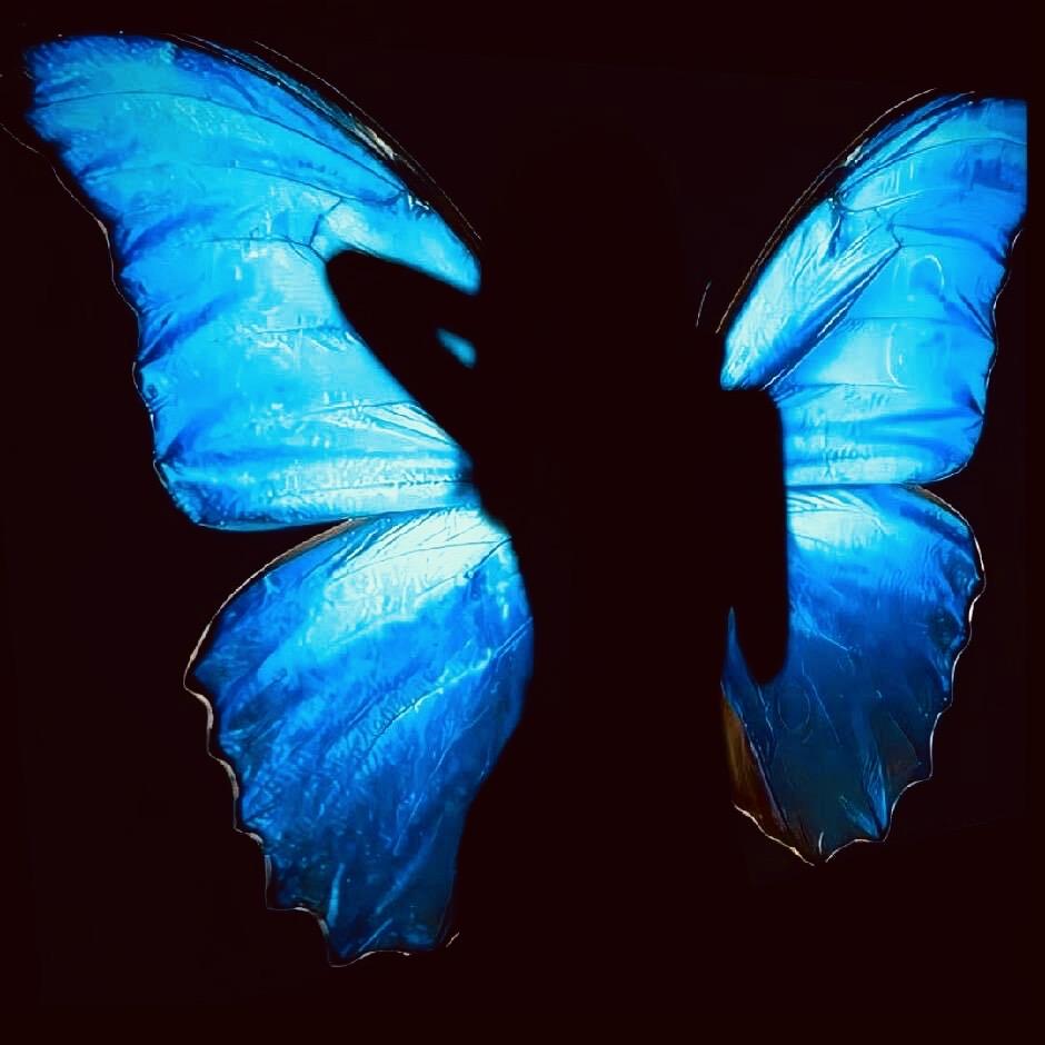 🦋' 硕 babe✨