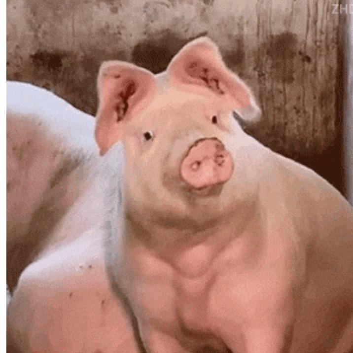 焦༺༒༜先生༒༻