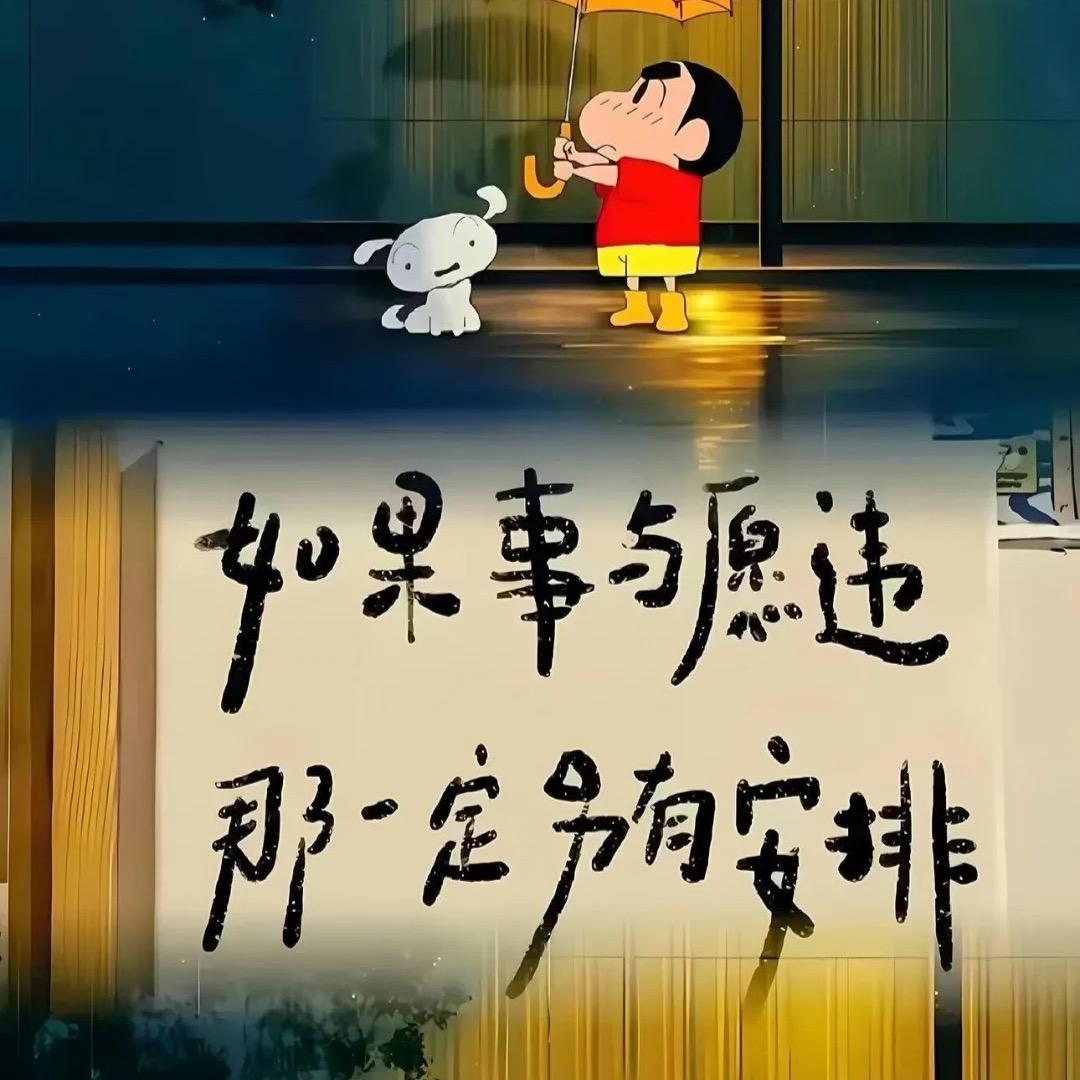 @飞飞