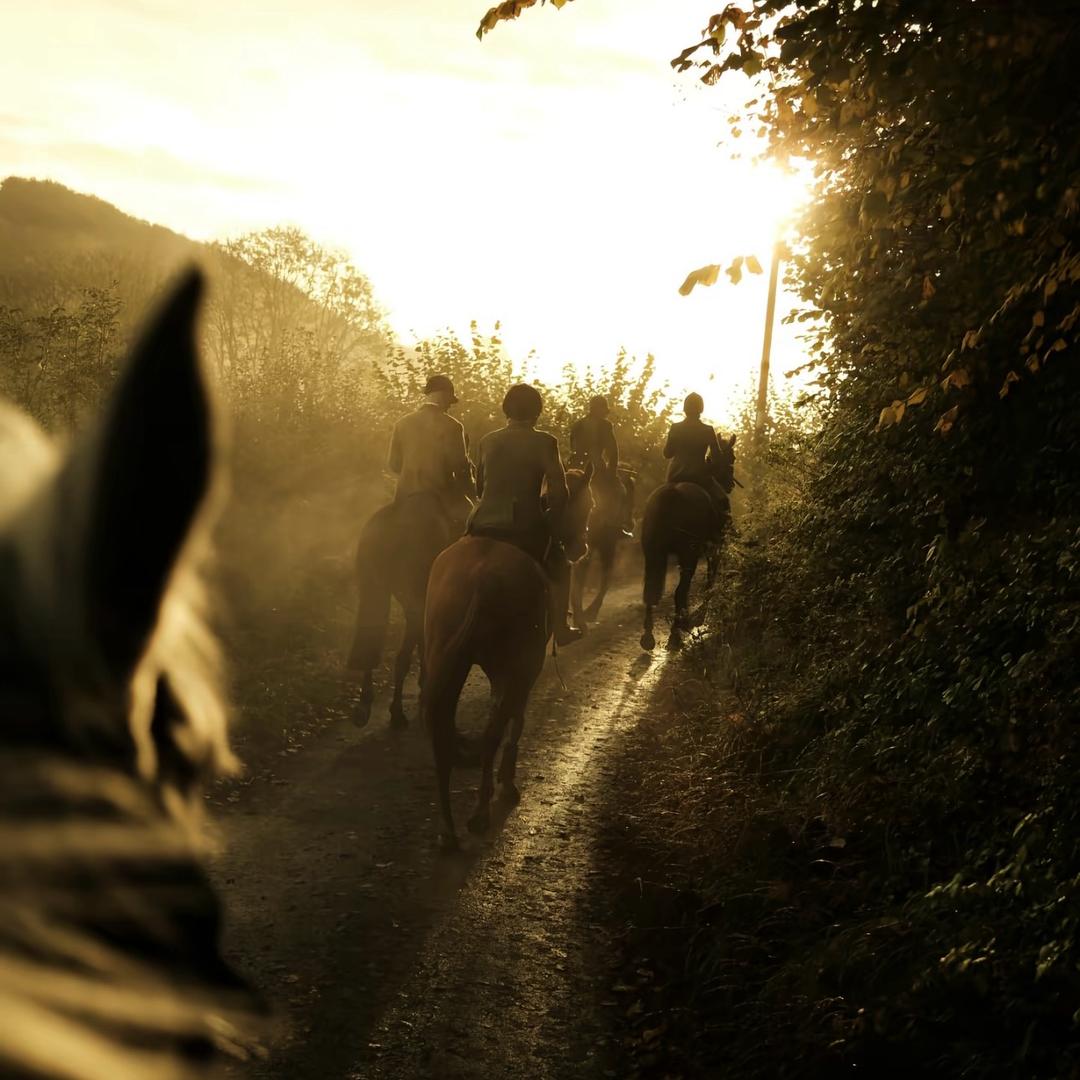 她说苦难便是劫