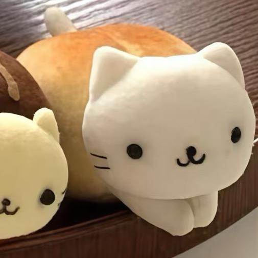 喵喵大王🐱