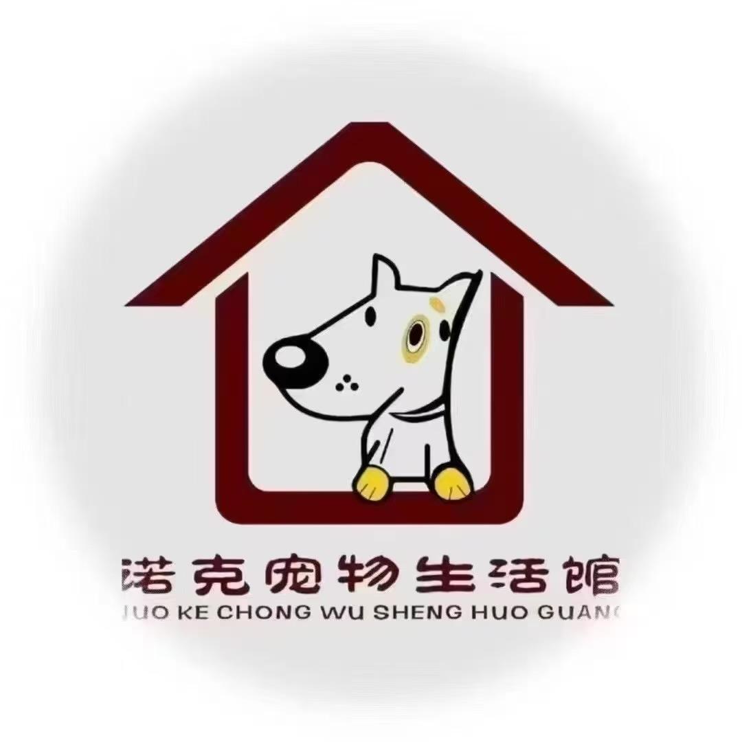诺克