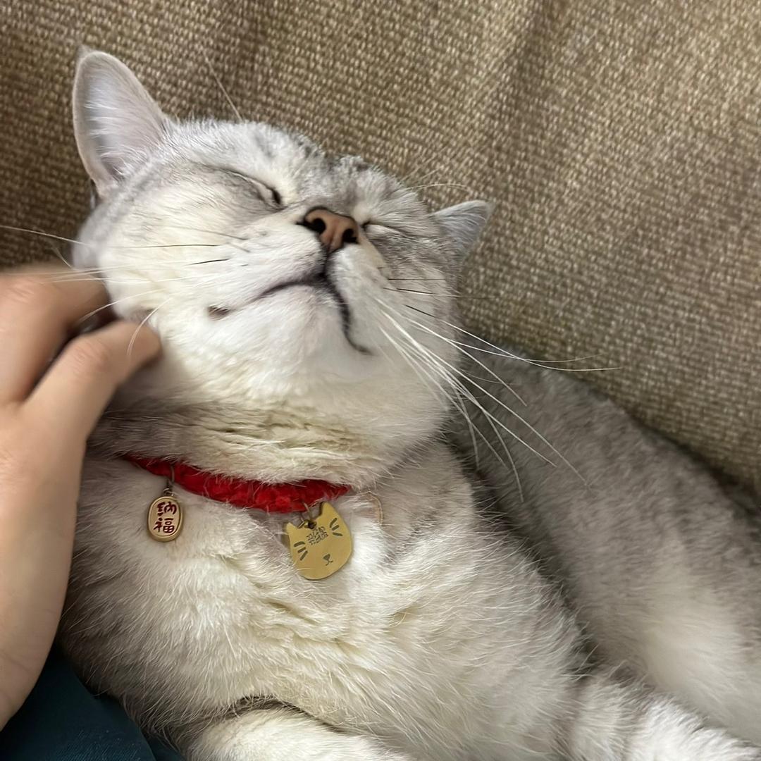 羽绒服不听话