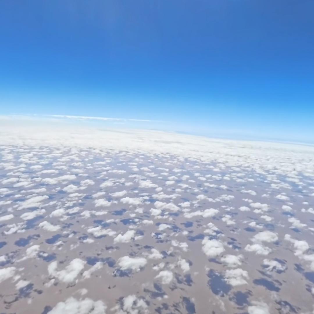 🌈 Surprise ❤︎