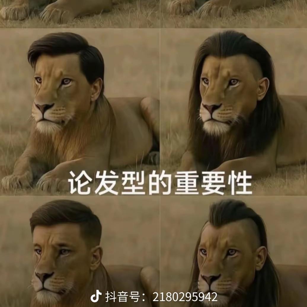 42580419756