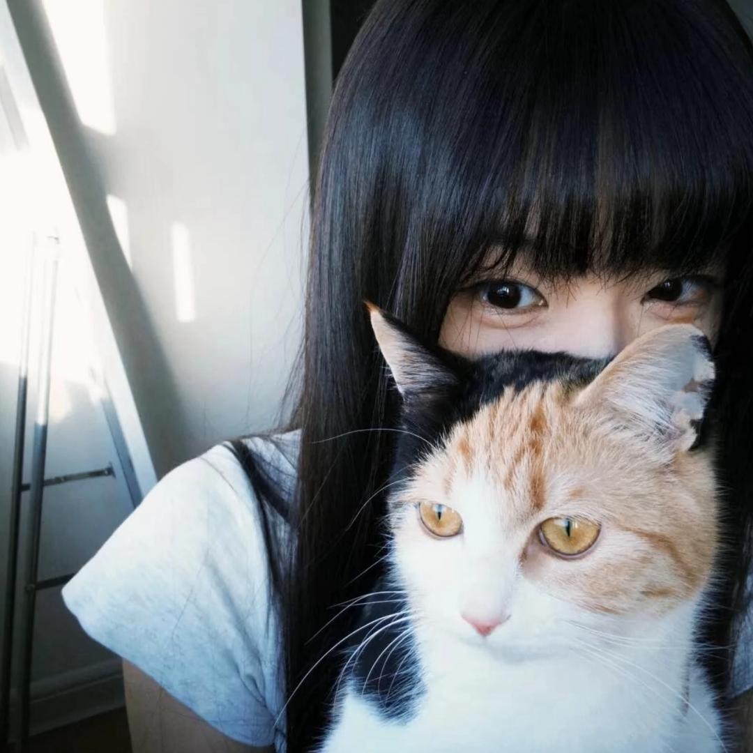 运气爆棚的土豆