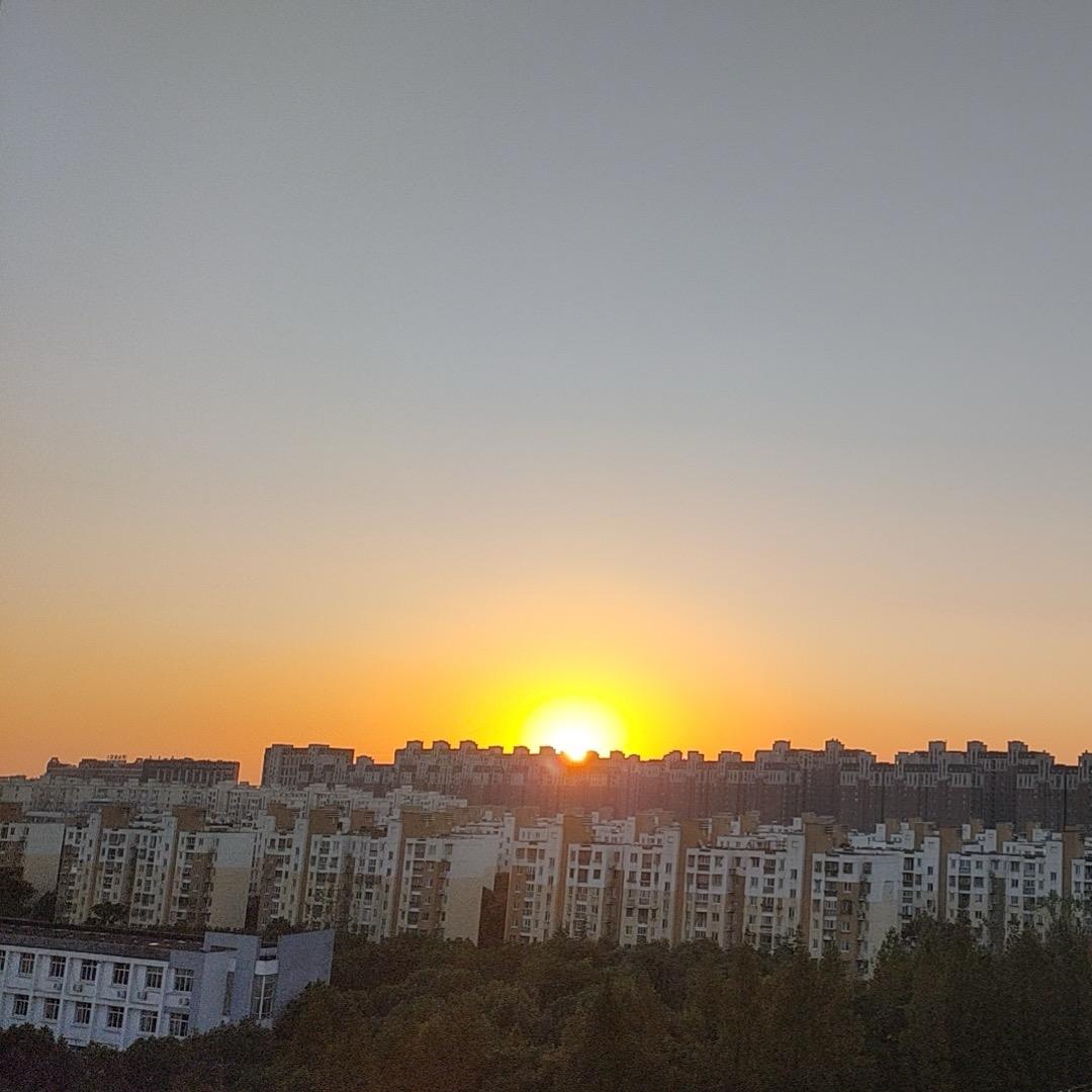 在阳光中微笑