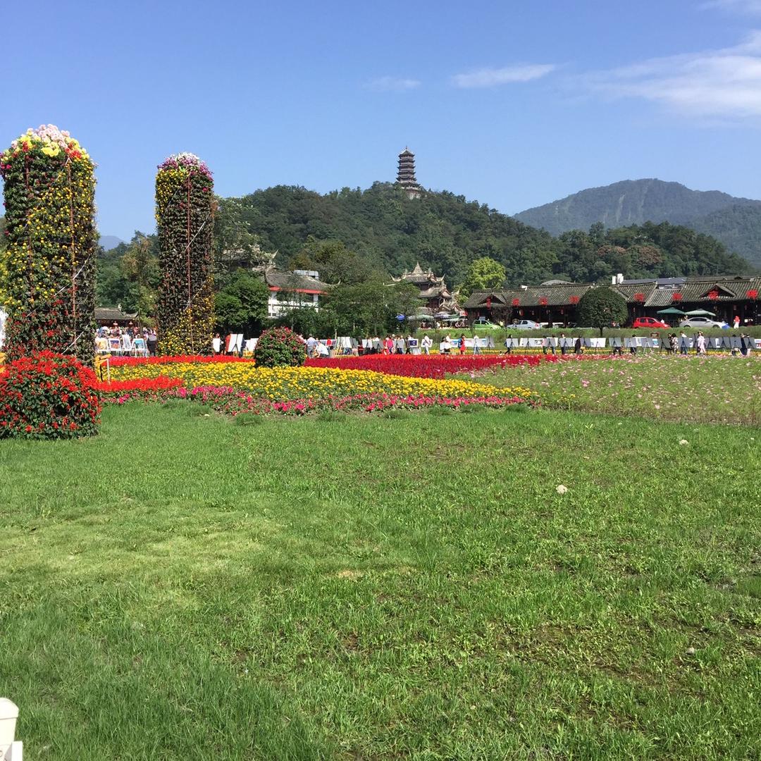 🍒繁花似锦💦