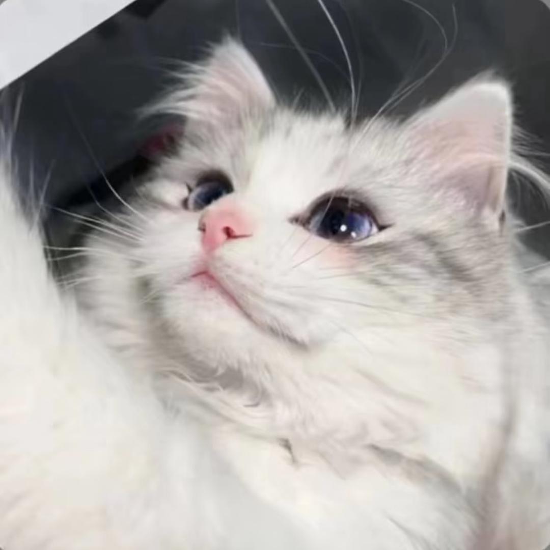 小幸运猫舍^_^