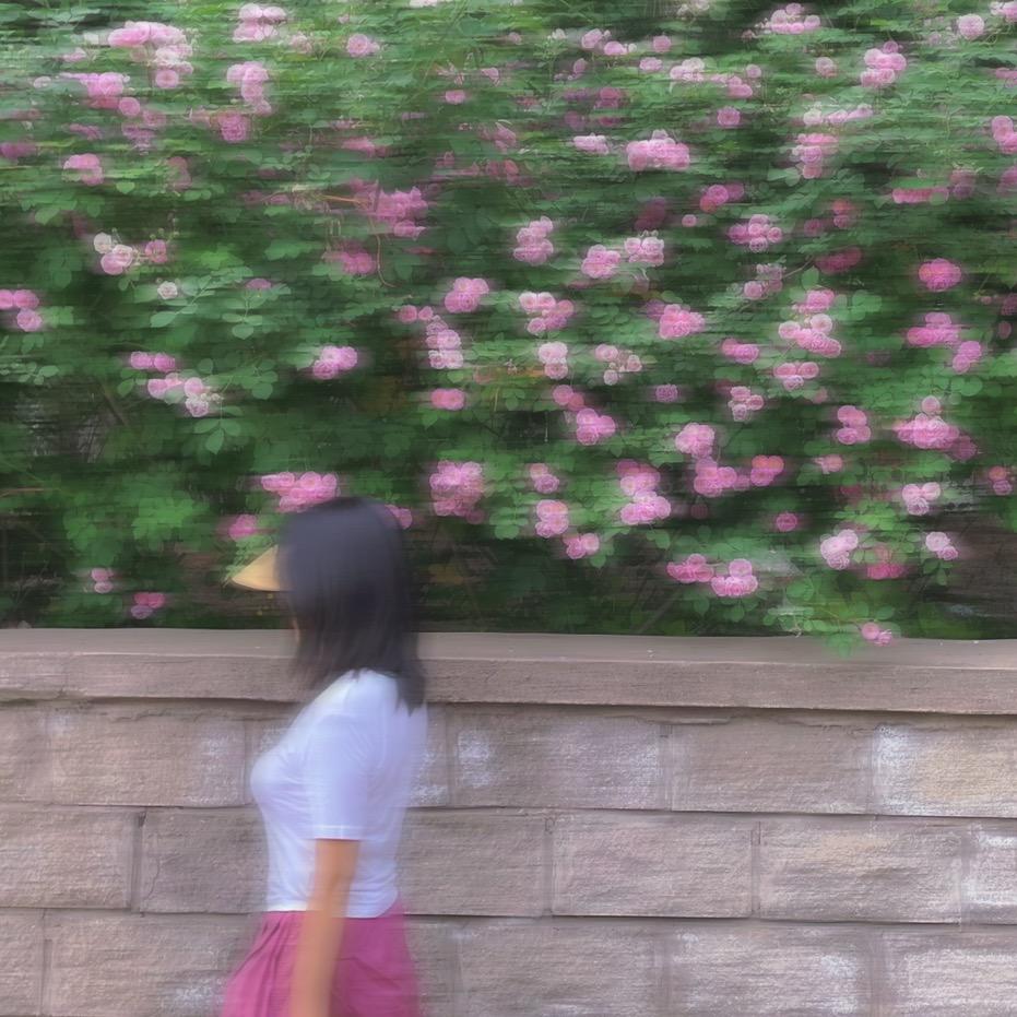 晗小晗