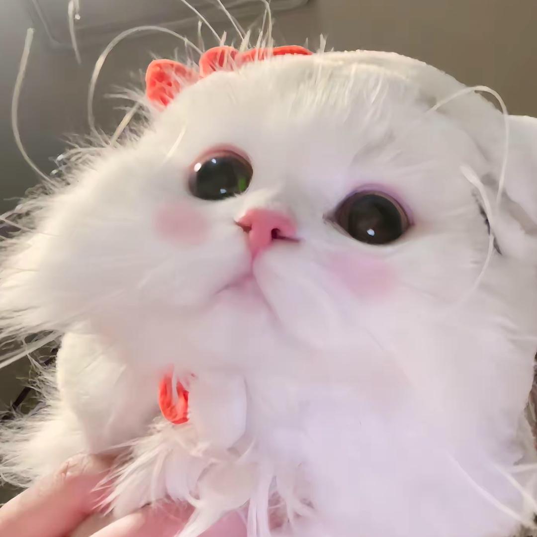 baby伊