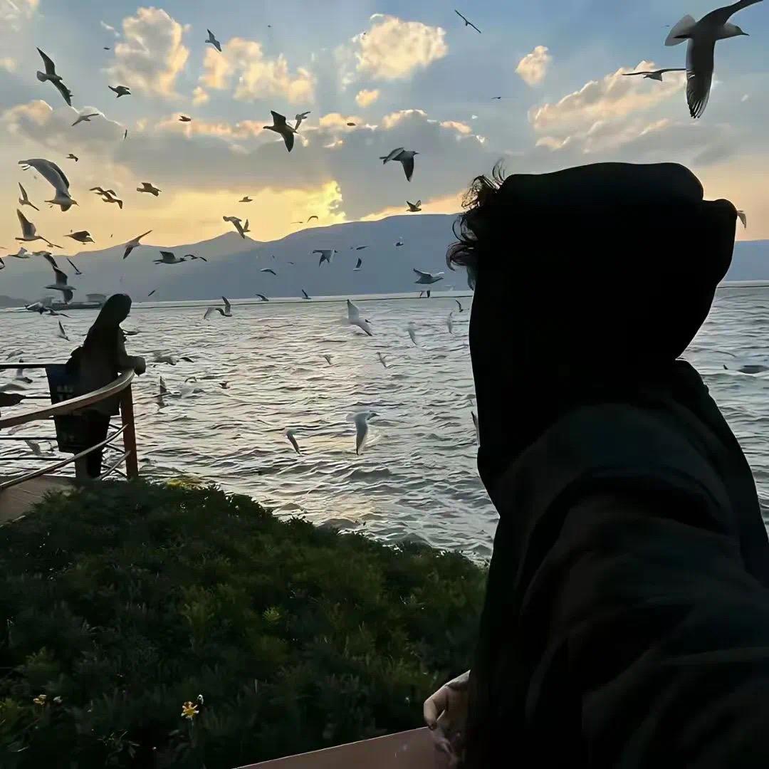 白昼