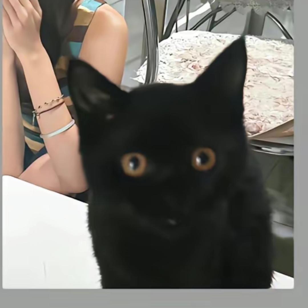 志泉