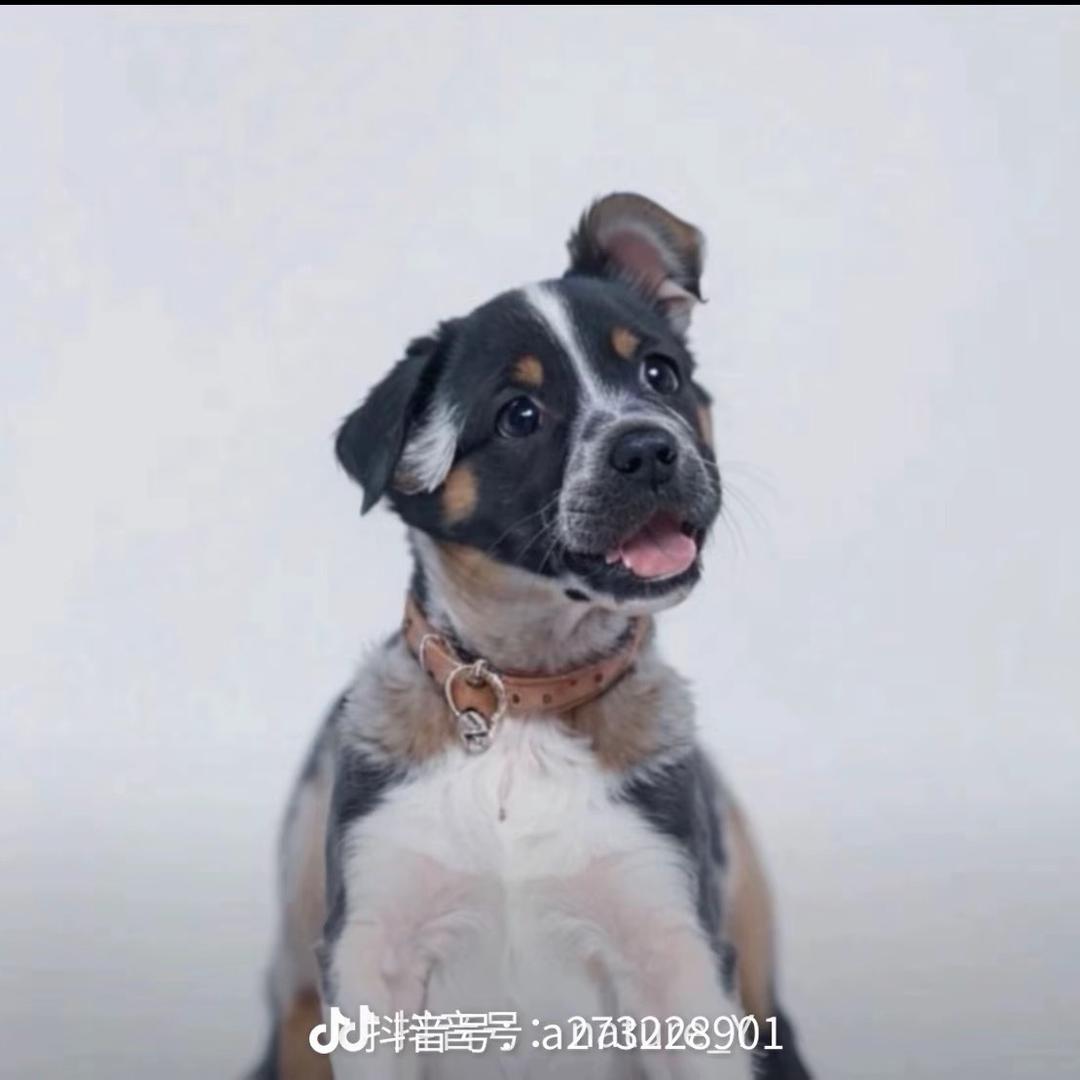 垫底让一下