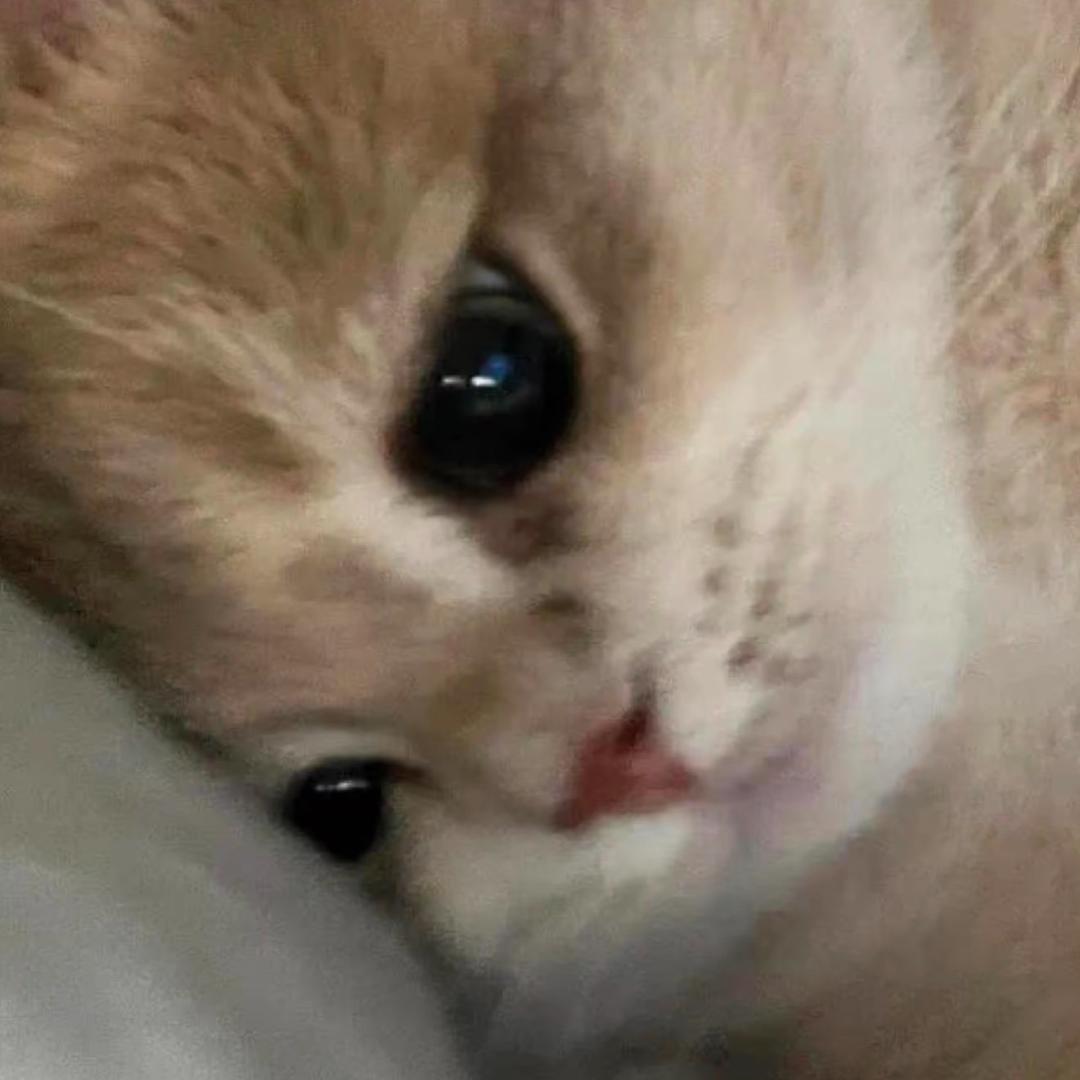 说好了一起过冬天