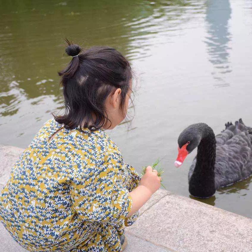朵妈一定行