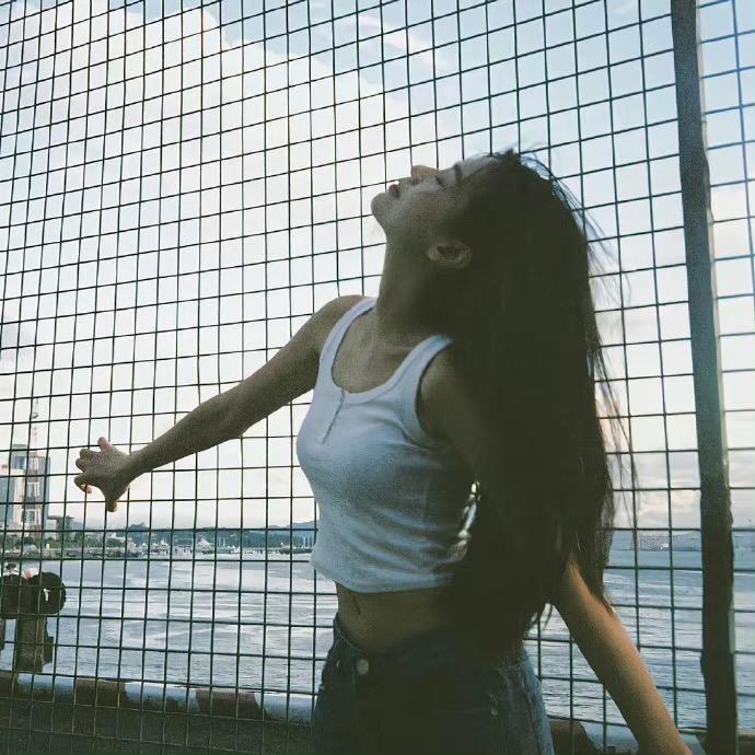 方糖椰子