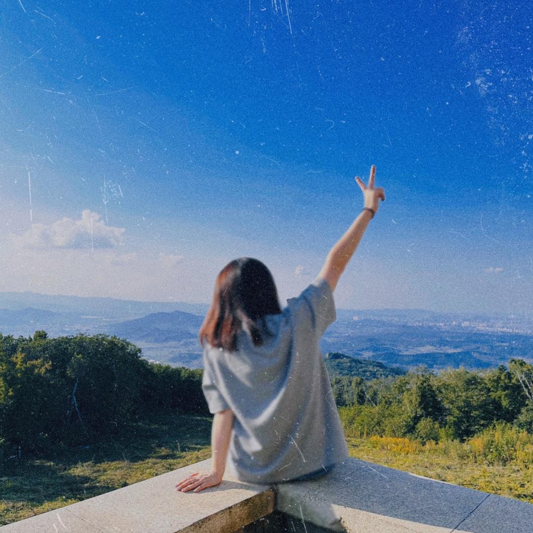 飞鸟的答案是自由