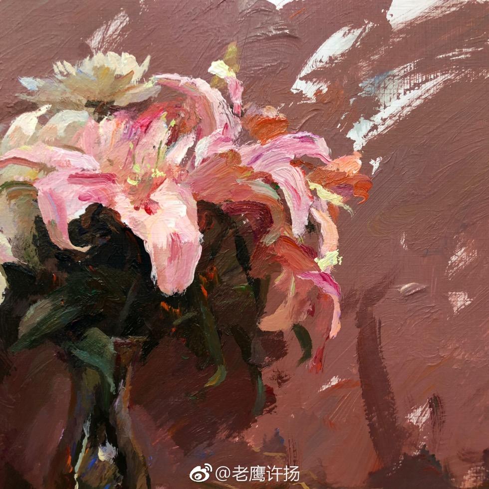 许扬色彩