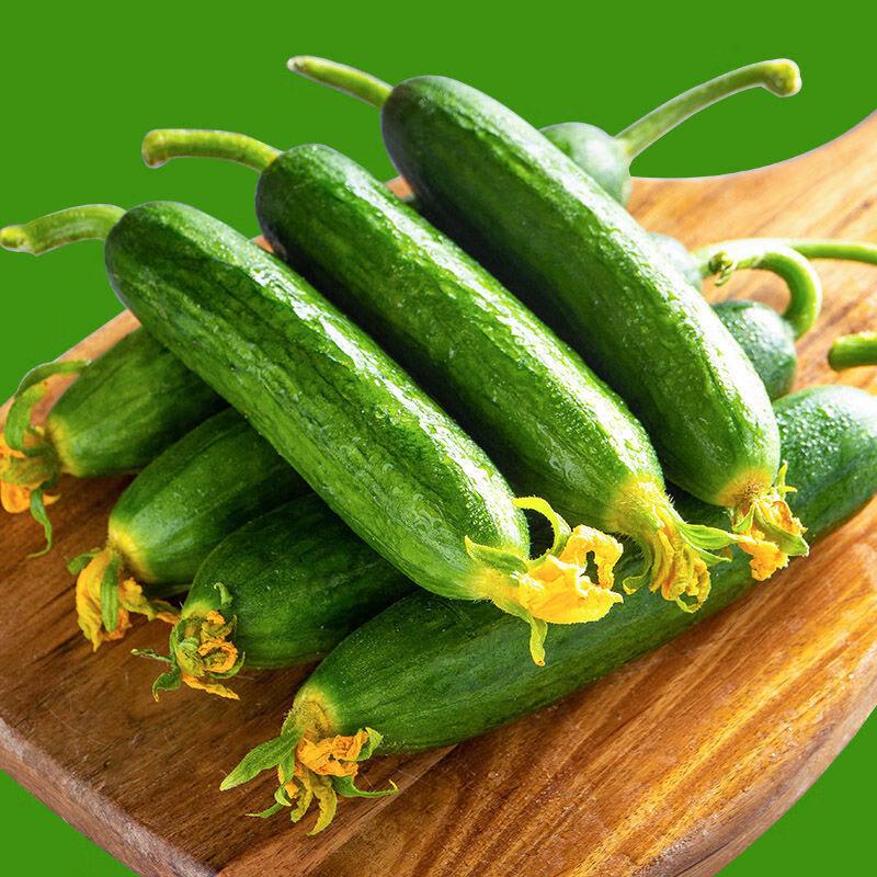 佰鲜蔬菜销售农场