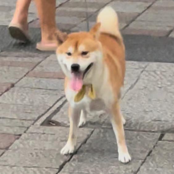山山_