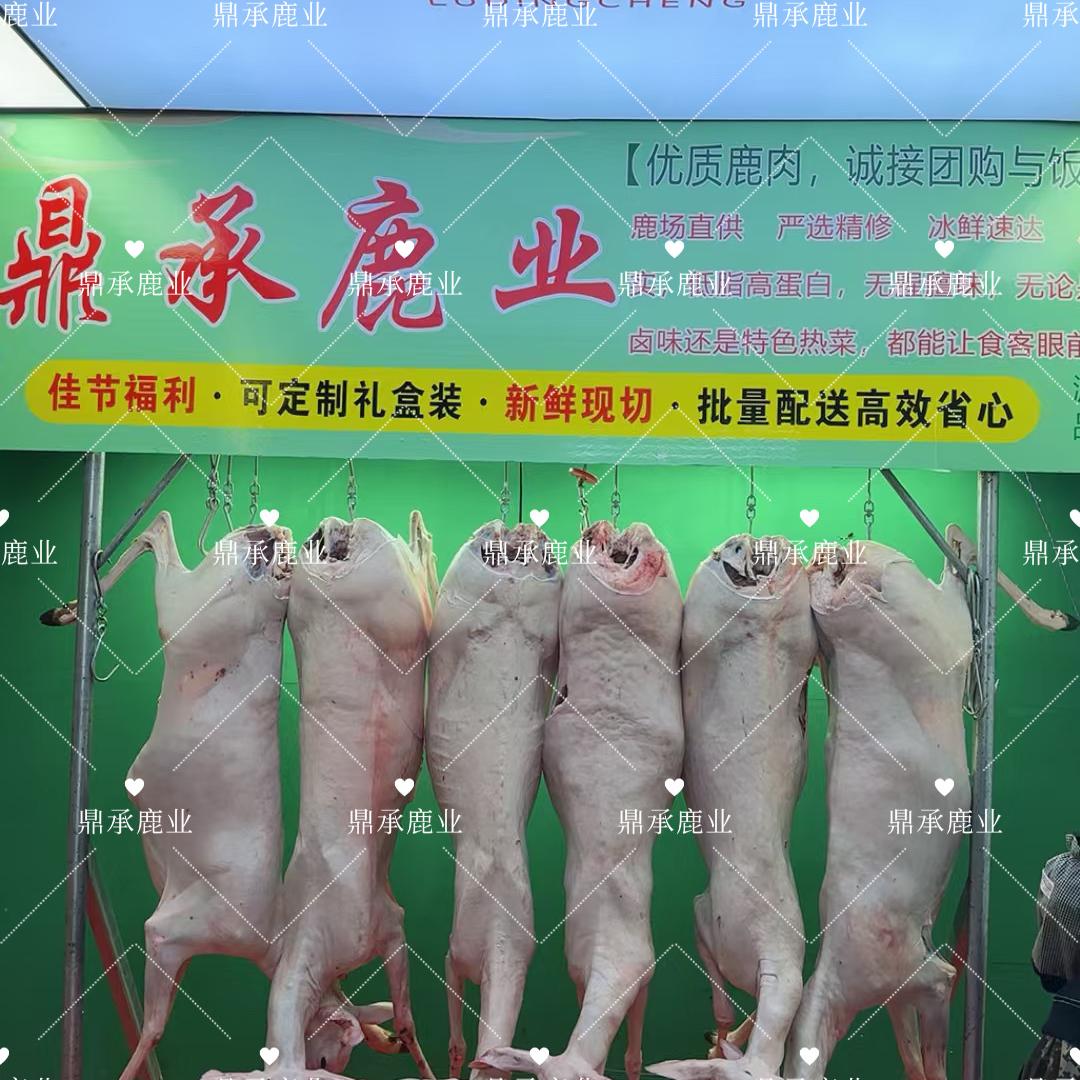 鼎承养殖场