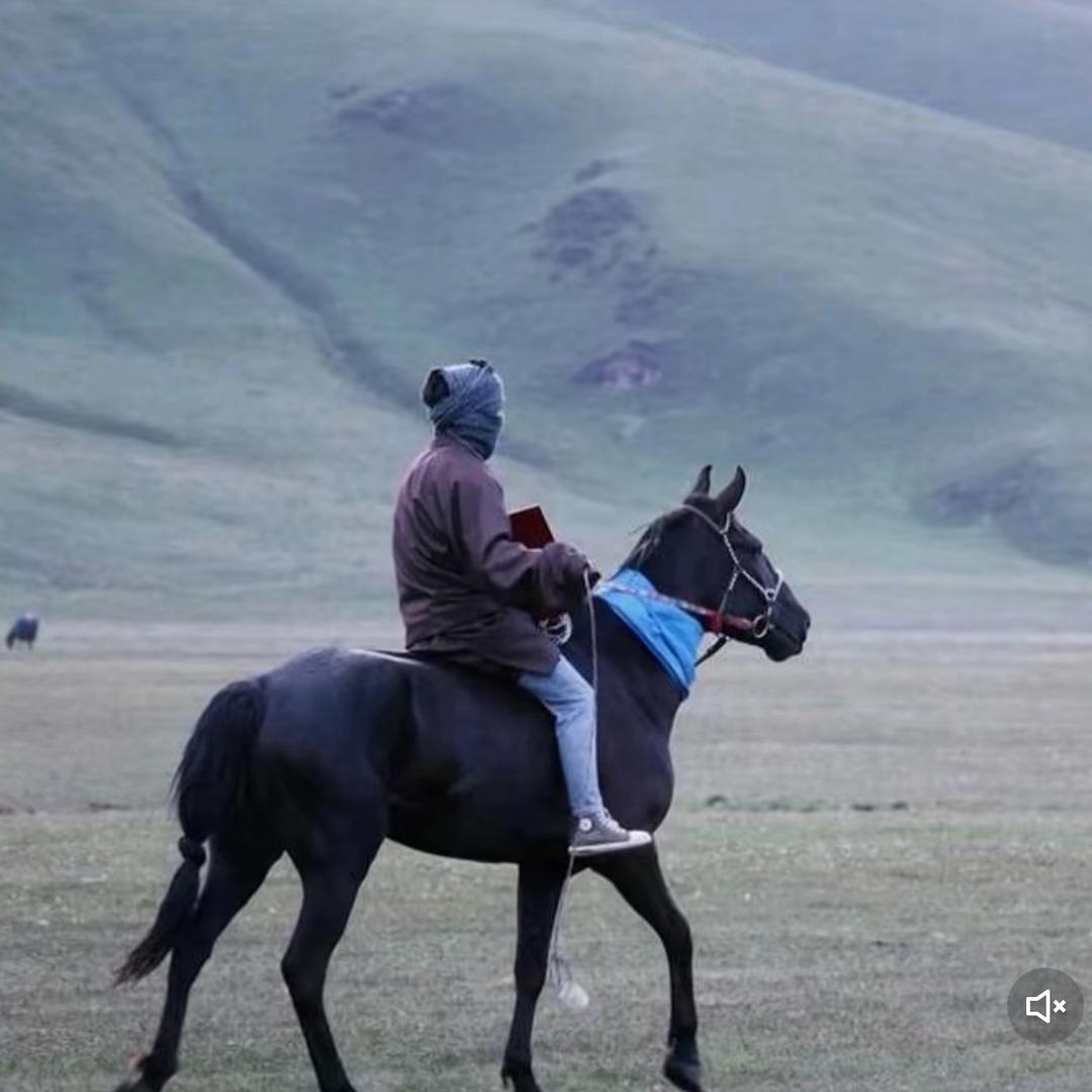 འབྲོག་༼རྡོར་བྷེ༽