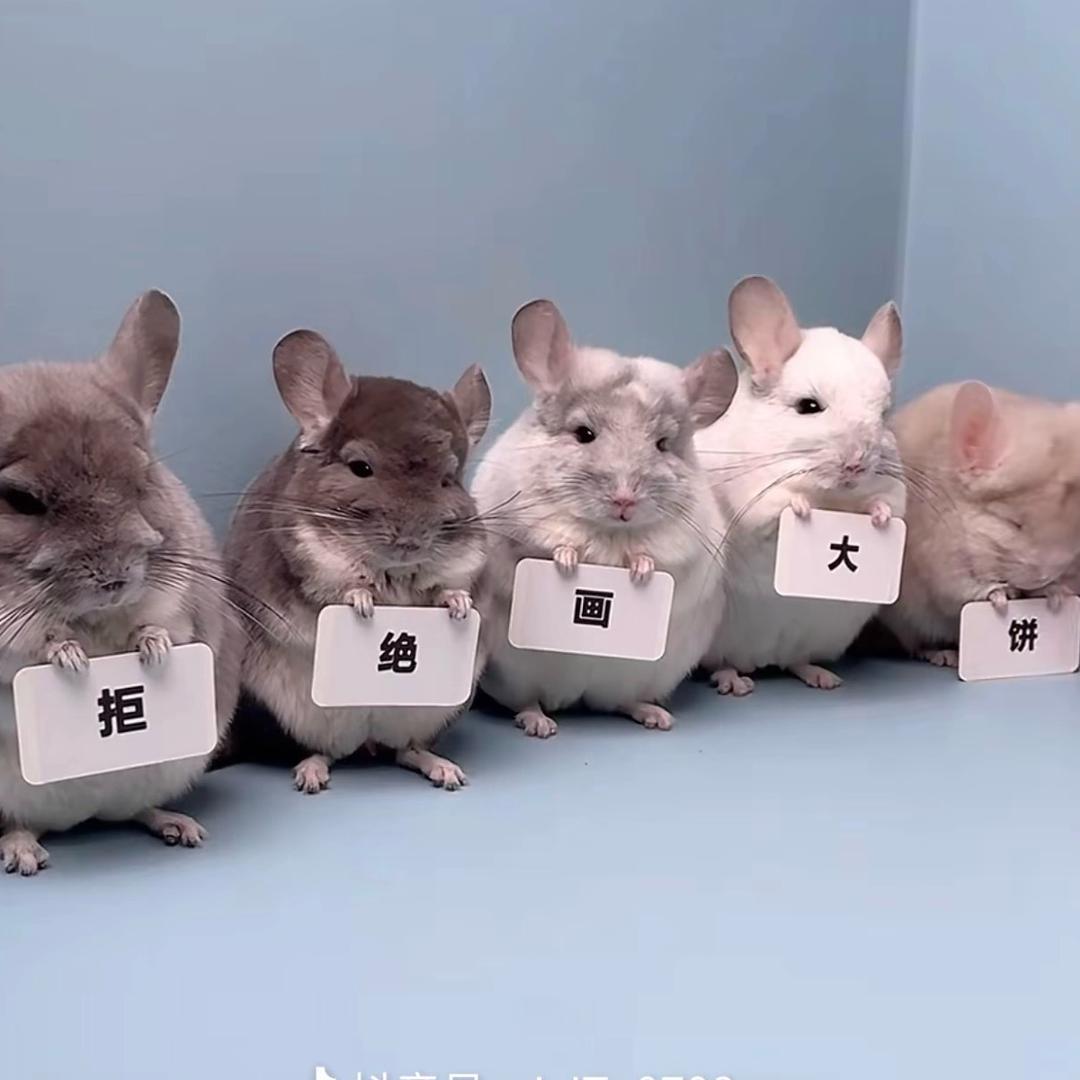 潇潇